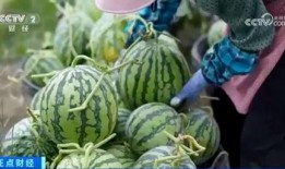 51今日吃瓜热门大瓜视频 吃瓜爆料